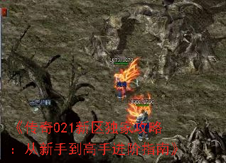 《传奇021新区独家攻略:从新手到高手进阶指南》 《传奇021新区独家攻略:从新手到高手进阶指南》