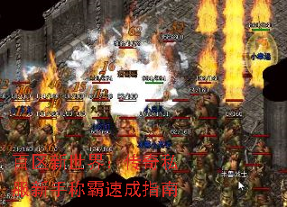 百区新世界:传奇私服新手称霸速成指南 百区新世界:传奇私服新手称霸速成指南