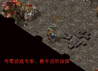 传奇游戏专家:新手进阶指南 传奇游戏专家:新手进阶指南