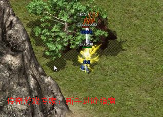 传奇游戏专家:新手进阶指南 传奇游戏专家:新手进阶指南