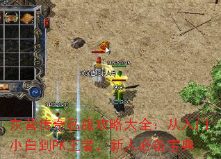 东营传奇私服攻略大全:从入门小白到PK王者,新人必备宝典 东营传奇私服攻略大全:从入门小白到PK王者,新人必备宝典