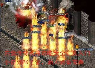 东营传奇私服攻略大全:从入门小白到PK王者,新人必备宝典 东营传奇私服攻略大全:从入门小白到PK王者,新人必备宝典