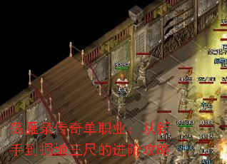 荡雁录传奇单职业:从新手到掘地三尺的进阶攻略 荡雁录传奇单职业:从新手到掘地三尺的进阶攻略