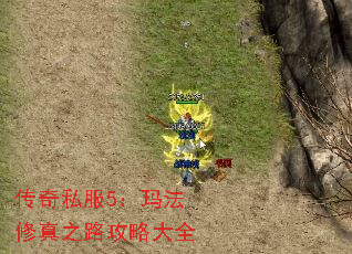 ����˽��5���귨����֮·���Դ�ȫ