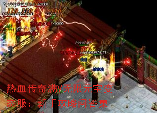 ��Ѫ������V����Ԫ����̬�������ֹ����ʴ�