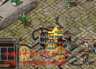 ��Ѫ������V����Ԫ����̬�������ֹ����ʴ�