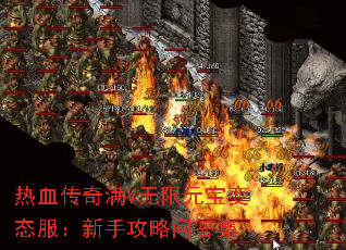 ��Ѫ������V����Ԫ����̬�������ֹ����ʴ�