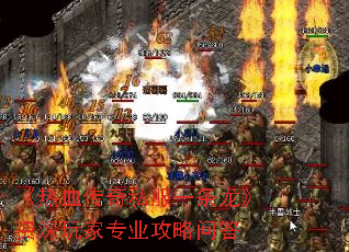 ����Ѫ����˽��һ�������������רҵ�����ʴ�