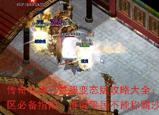 传奇私服公益服变态版攻略大全:新服开区必备指南,谁说平民不能称霸沙巴克 传奇私服公益服变态版攻略大全:新服开区必备指南,谁说平民不能称霸沙巴克