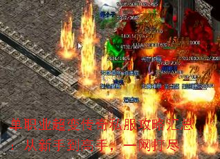 单职业超变传奇私服攻略汇总:从新手到高手,一网打尽 单职业超变传奇私服攻略汇总:从新手到高手,一网打尽