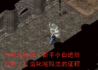 传奇3G私服:新手小白进阶攻略,打造叱咤玛法的征程 传奇3G私服:新手小白进阶攻略,打造叱咤玛法的征程