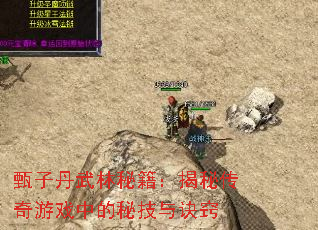 甄子丹武林秘籍:揭秘传奇游戏中的秘技与诀窍 甄子丹武林秘籍:揭秘传奇游戏中的秘技与诀窍