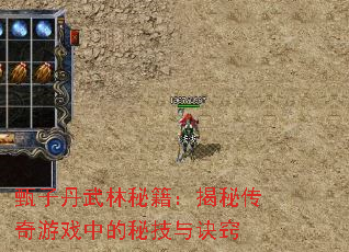 甄子丹武林秘籍:揭秘传奇游戏中的秘技与诀窍 甄子丹武林秘籍:揭秘传奇游戏中的秘技与诀窍