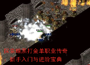 探索暗黑打金单职业传奇:新手入门与进阶宝典 探索暗黑打金单职业传奇:新手入门与进阶宝典
