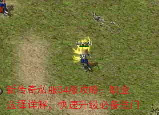 新传奇私服54服攻略:职业选择详解,快速升级必备法门 新传奇私服54服攻略:职业选择详解,快速升级必备法门