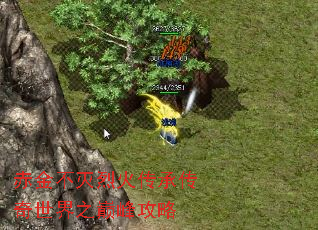 赤金不灭烈火传承传奇世界之巅峰攻略 赤金不灭烈火传承传奇世界之巅峰攻略