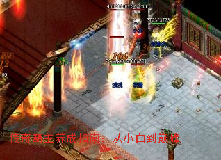 传奇霸主养成指南:从小白到巅峰 传奇霸主养成指南:从小白到巅峰