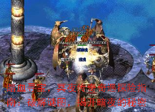 踏血寻宝,冥夜传奇奇遇探险指南:破解谜图,揭开暗夜的秘密 踏血寻宝,冥夜传奇奇遇探险指南:破解谜图,揭开暗夜的秘密