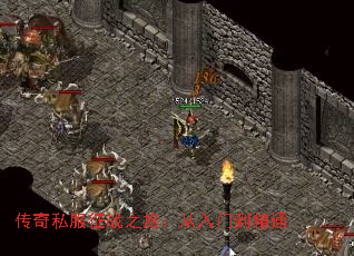 传奇私服征战之旅:从入门到精通 传奇私服征战之旅:从入门到精通