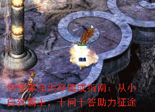 �����������ٳ�ָ�ϣ���С�׵�������ʮ��ʮ��������;