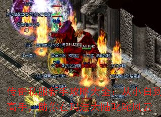 传奇私服新手攻略大全:从小白到高手,助你在玛法大陆叱咤风云 传奇私服新手攻略大全:从小白到高手,助你在玛法大陆叱咤风云