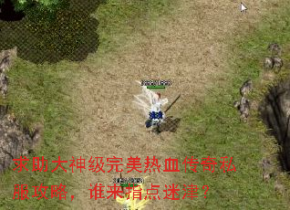 求助大神级完美热血传奇私服攻略,谁来指点迷津? 求助大神级完美热血传奇私服攻略,谁来指点迷津?