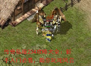 传奇私服234攻略大全:新手入门必看,助你叱咤风云 传奇私服234攻略大全:新手入门必看,助你叱咤风云