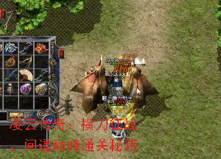 凌云传奇:横刀征战,问道巅峰通关秘籍 凌云传奇:横刀征战,问道巅峰通关秘籍