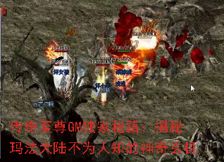 传奇至尊GM独家秘籍:揭秘玛法大陆不为人知的神奇玄机 传奇至尊GM独家秘籍:揭秘玛法大陆不为人知的神奇玄机