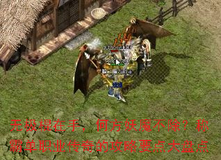 �޼������֣��η���ħ�������ưԵ�ְҵ����Ĺ���Ҫ����̵�