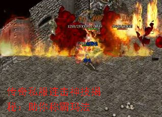 ����˽�������񼼽��أ�����ư��귨