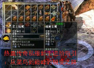 热血传奇私服新手进阶指引:从菜鸟到巅峰的蜕变之路 热血传奇私服新手进阶指引:从菜鸟到巅峰的蜕变之路