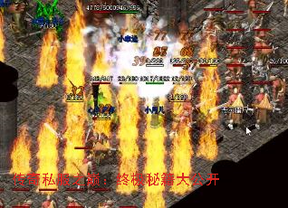 传奇私服之巅:终极秘籍大公开 传奇私服之巅:终极秘籍大公开