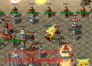 天天传奇私服手机版:新手必看最强攻略宝典 天天传奇私服手机版:新手必看最强攻略宝典