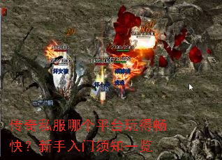 传奇私服哪个平台玩得畅快?新手入门须知一览 传奇私服哪个平台玩得畅快?新手入门须知一览