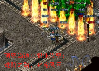 萌宠当道单职业传奇:进阶之路,叱咤风云 萌宠当道单职业传奇:进阶之路,叱咤风云