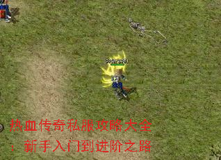 热血传奇私服攻略大全:新手入门到进阶之路 热血传奇私服攻略大全:新手入门到进阶之路