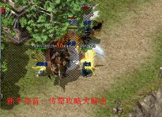 新手福音:传奇攻略大解密 新手福音:传奇攻略大解密