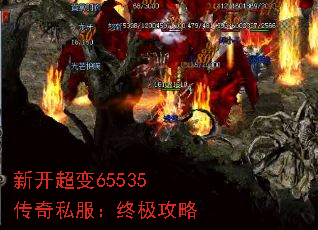 �¿�����65535����˽�����ռ�����