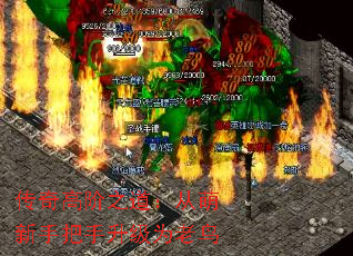 传奇高阶之道:从萌新手把手升级为老鸟 传奇高阶之道:从萌新手把手升级为老鸟