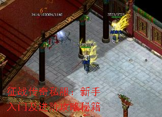 ��ս����˽�����������ż����׹����ؼ�