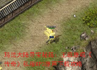 玛法大陆寻宝秘籍:王菲原唱《传奇》私服MP3原声下载攻略 玛法大陆寻宝秘籍:王菲原唱《传奇》私服MP3原声下载攻略