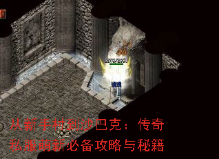 从新手村到沙巴克:传奇私服萌新必备攻略与秘籍 从新手村到沙巴克:传奇私服萌新必备攻略与秘籍