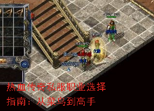 热血传奇私服职业选择指南:从菜鸟到高手 热血传奇私服职业选择指南:从菜鸟到高手