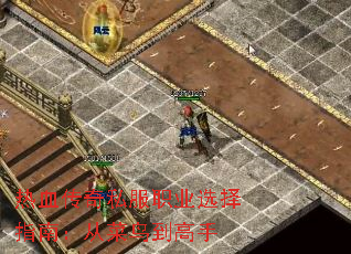 热血传奇私服职业选择指南:从菜鸟到高手 热血传奇私服职业选择指南:从菜鸟到高手