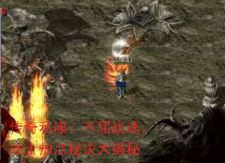 传奇私服:不屈战魂,战士加点秘诀大揭秘 传奇私服:不屈战魂,战士加点秘诀大揭秘