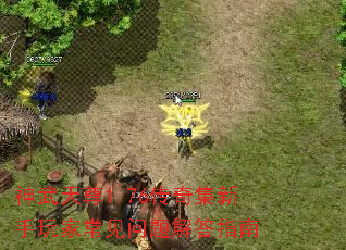 神武天尊1.76传奇集新手玩家常见问题解答指南 神武天尊1.76传奇集新手玩家常见问题解答指南