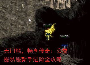 无门槛,畅享传奇:公益服私服新手进阶全攻略 无门槛,畅享传奇:公益服私服新手进阶全攻略