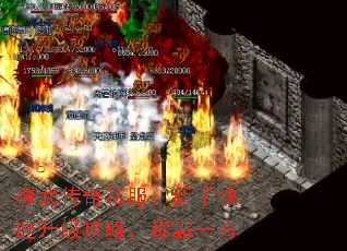 神武传奇私服:新手快速升级攻略,称霸一方 神武传奇私服:新手快速升级攻略,称霸一方