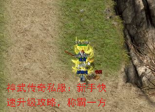 神武传奇私服:新手快速升级攻略,称霸一方 神武传奇私服:新手快速升级攻略,称霸一方